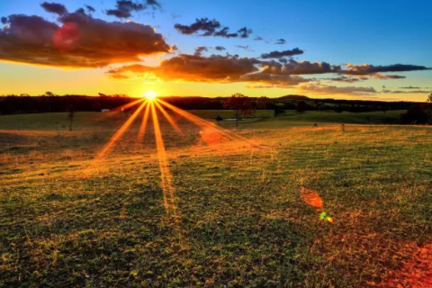 屬兔和屬豬的合不合 兔和豬的屬相適合做夫妻嗎