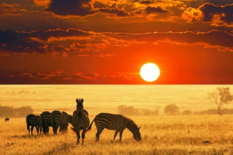 爐中火命是什么意思 爐中火命適合做什么行業