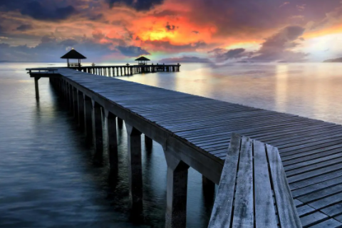 牛和狗相配嗎婚姻 牛和狗的屬相適合做夫妻嗎