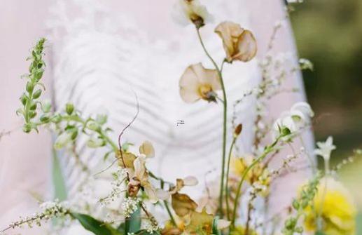 男巨蟹座三區和女獅子座三區配對 男巨蟹座三區和女獅子座三區配對