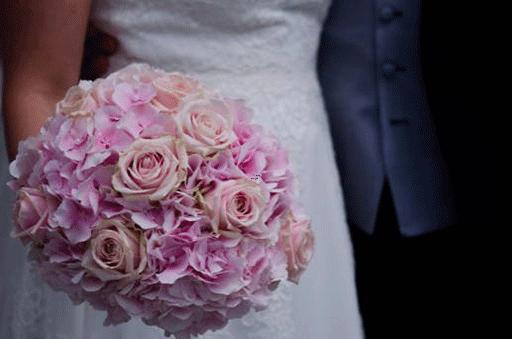 哪種星座適合養什么花 哪種星座適合養什么花