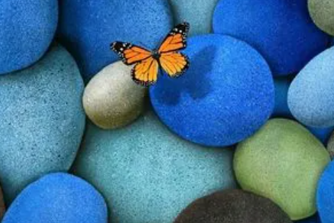 牛和龍屬相配婚姻如何 牛和龍的婚姻會(huì)長(zhǎng)久嗎