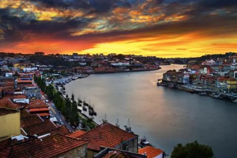 狗的名字洋氣點的 狗名字大全順口的霸氣