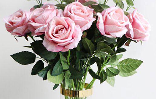 不被看好的星座cp 不被看好的星座cp