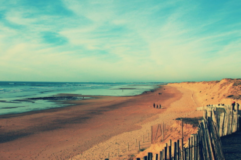 屬雞的和什么屬相相沖 屬雞相沖的屬相是什么