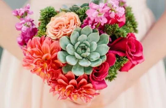 屬相合但星座不合 屬相合但星座不合