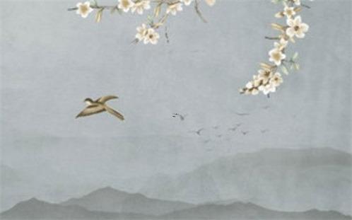 大氣知性的星座女