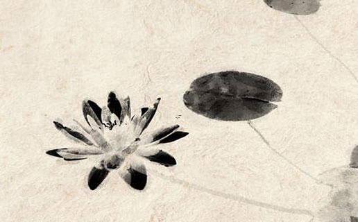 取一個(gè)好聽(tīng)的主播名字 取一個(gè)好聽(tīng)的主播名字