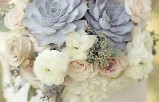 男獅子處女座和女雙魚白羊座配對