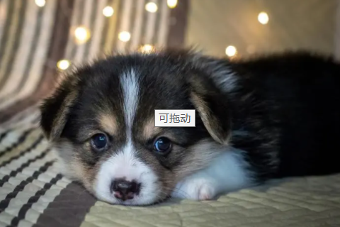 摩羯座和什么座最配對 摩羯座配對星座排名