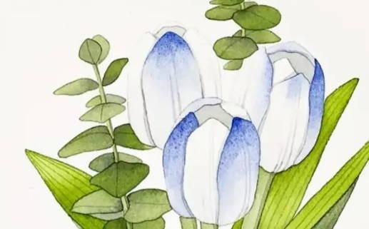 八字帶金和土的名字有哪些 八字帶金和土的名字有哪些