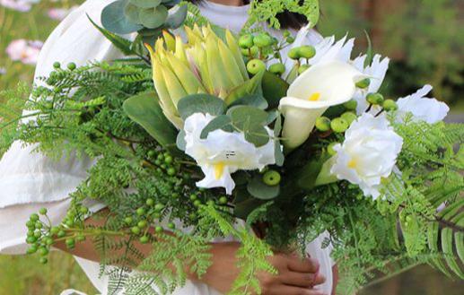 [月亮星座配對]月亮星座在水瓶座