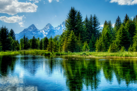 2023年財(cái)神方位在哪個(gè)方位 2023財(cái)神方位最佳