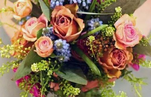 1994年星歷表 1994年星歷表