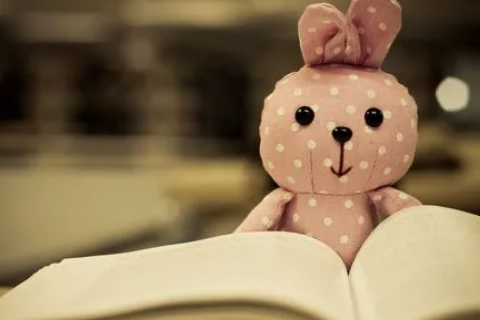 豬和兔相配婚姻如何 豬和兔相克相沖嗎