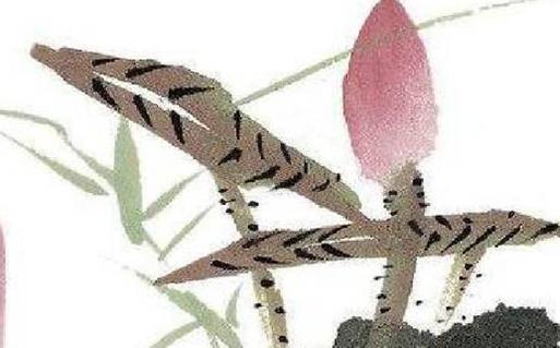 屬羊的虎年運勢2023年 屬羊的虎年運勢2023年