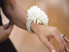 男摩羯座一區和女雙魚白羊座配對