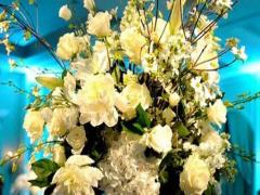 17年十二星座毒舌點評