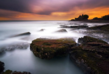 屬龍和屬豬的合不合 龍和豬配婚姻好不好