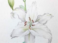 水瓶座2023年佩戴什么