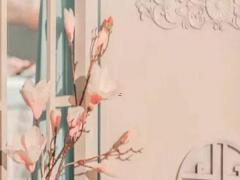 舍不得為女友花錢的星座