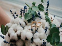 容易和天蝎座吵架的星座