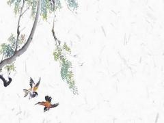 姓聶的女孩名字帶解釋