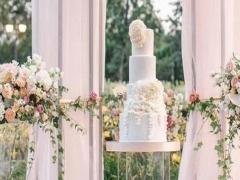 獅子座和金牛座配對指數