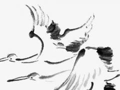 好聽的帶瑾的男孩名字