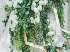 男雙魚白羊座和女天蝎座三區配對