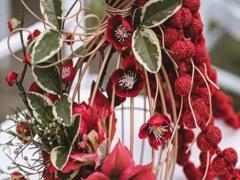 越來魅力越大的星座