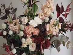 揮霍星座是什么