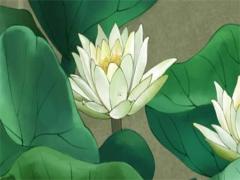 2023屬虎全年運勢如何