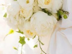 相親問星座不符