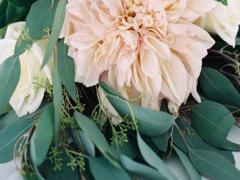 如何查詢本命星座