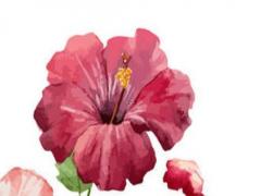 古代好聽的男子名字