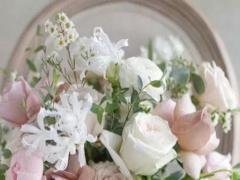 那個星座是狐貍精