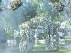 水瓶座女生和什么座最配,水瓶座女生最配星座