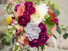 夢見蝴蝶在天上星座繞