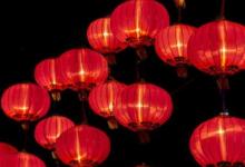 家里養(yǎng)烏龜養(yǎng)幾只比較吉利?家里養(yǎng)烏龜有什么講究有什么忌諱