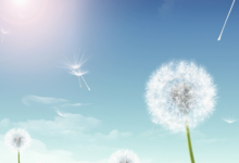 牛和蛇合不合 牛和蛇做夫妻好不好