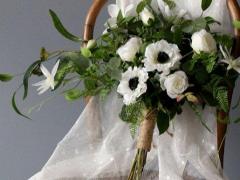 生肖羊星座金牛2017