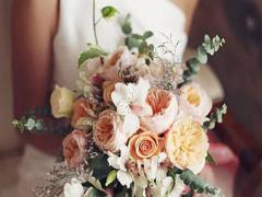 朋友星座查詢器