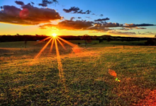 屬龍和屬兔的合不合 龍和兔在一起對誰不利