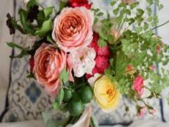 處女座男最佳配對星座 個性相投恩愛永遠(yuǎn)