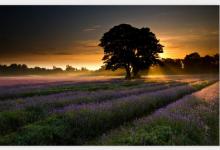 地風(fēng)升卦詳解感情?地風(fēng)升卦為何說(shuō)是鬼卦