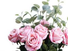 最愛聽小人話的星座女