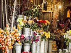 男天蝎座三區(qū)和女水瓶座三區(qū)配對