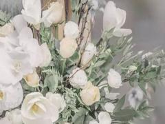 生肖羊的水瓶座和什么生肖星座最配