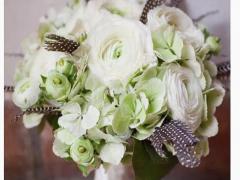 男處女座三區(qū)和女水瓶座二區(qū)配對